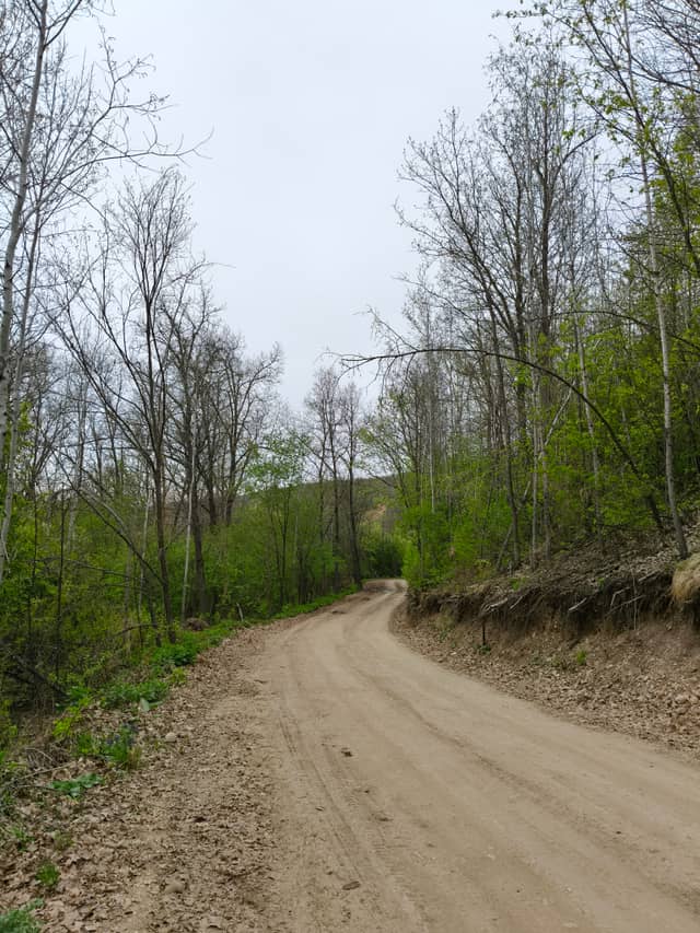 Smakovo Forest Road - Image 1