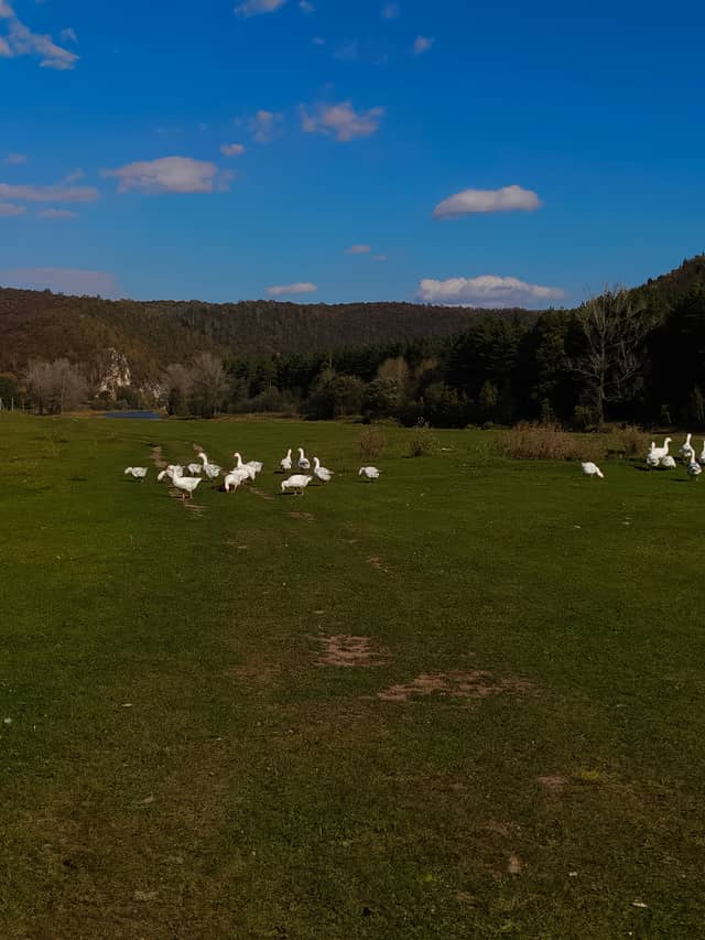 Zilim River Valley, Tash-Asty - Image 1