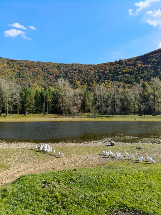 Zilim River at Tash-Asty - Image 1