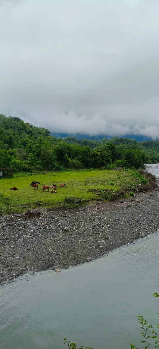 Galidzga Riverbank Pasture - Image 1