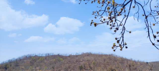Prantij Hillside - Image 1