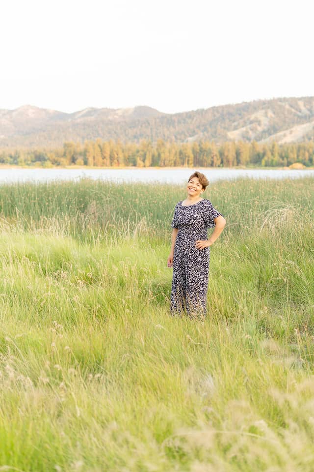 Big Bear Lake Shoreline - Image 1
