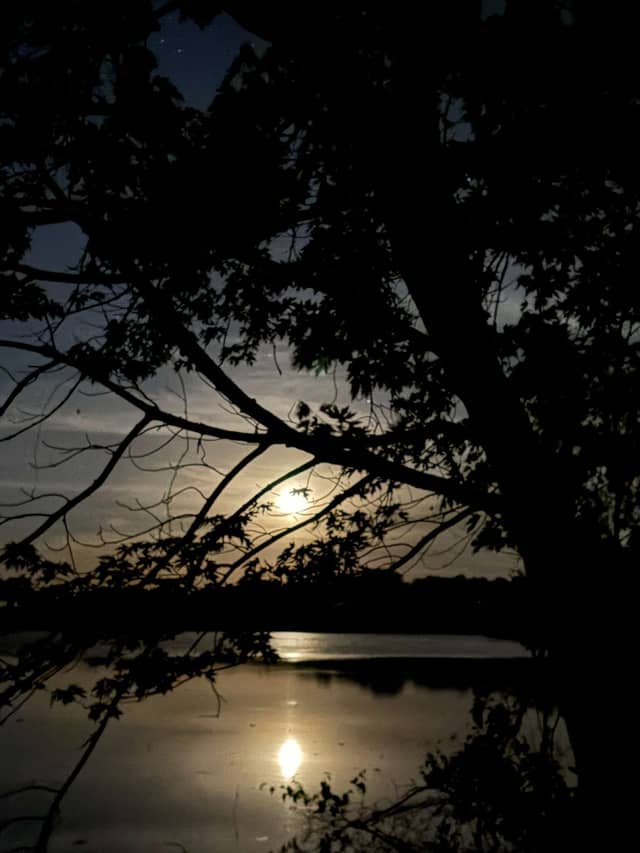 Lakeside Silhouette Point - Image 1