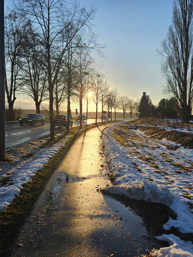 Route Du Marlézay Golden Hour Path - Image 1