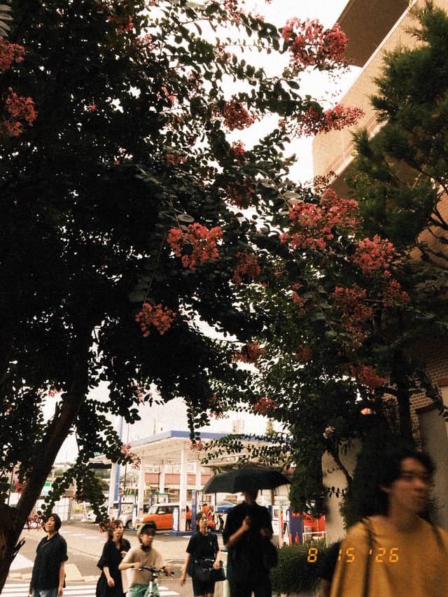 Matsugaya Suburban Walkway - Image 1