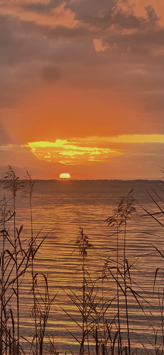 Escambia Bay Overlook - Image 1