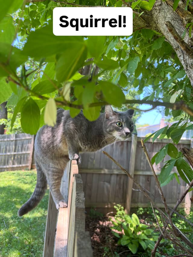 Rockville Garden Wildlife Spot - Image 1