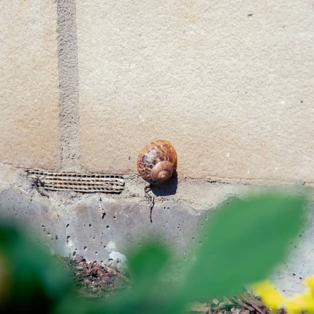 Downtown Provo Garden Details - Image 1