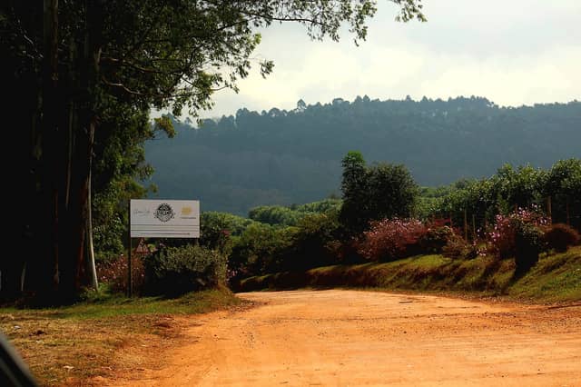 Magoebaskloof Valley - Image 1