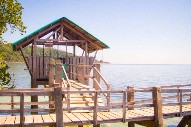 Katunggan Mangrove Park - Image 1