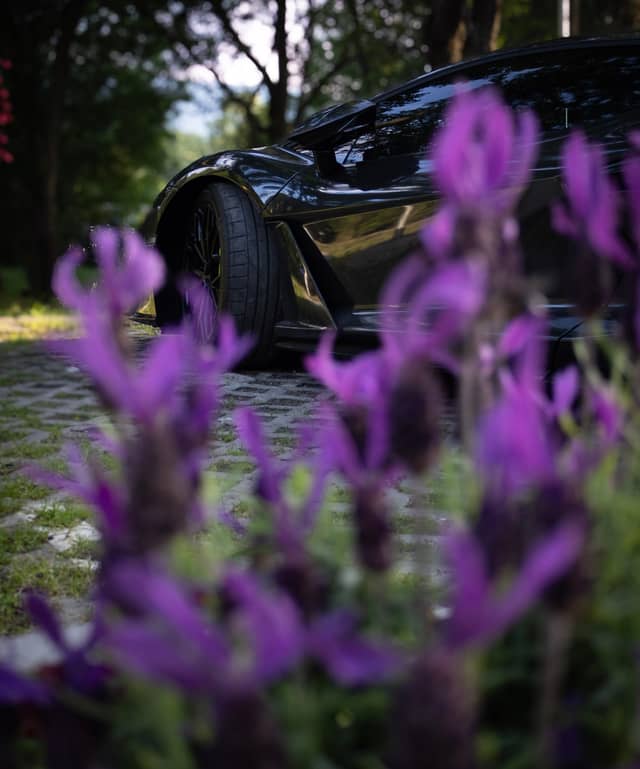 Sofia Garden Driveway - Image 1