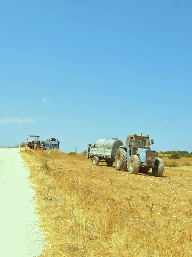 Apulian Agricultural Fields - Image 1