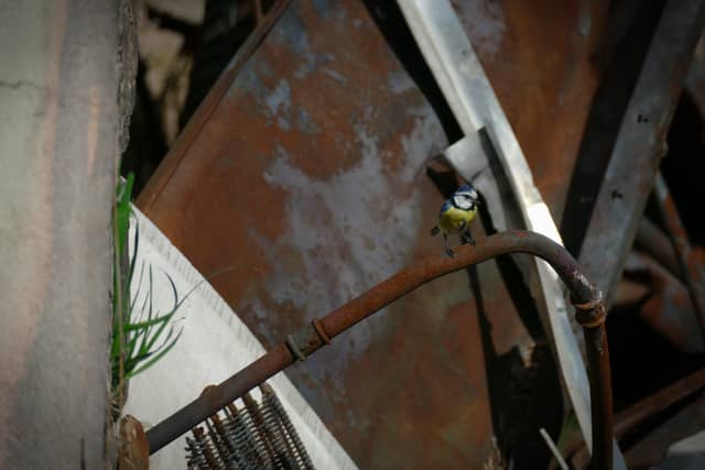 Ankarsrum Industrial Ruins - Image 1