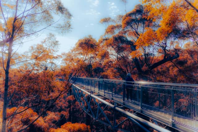 Lotterywest Federation Walkway - Image 1