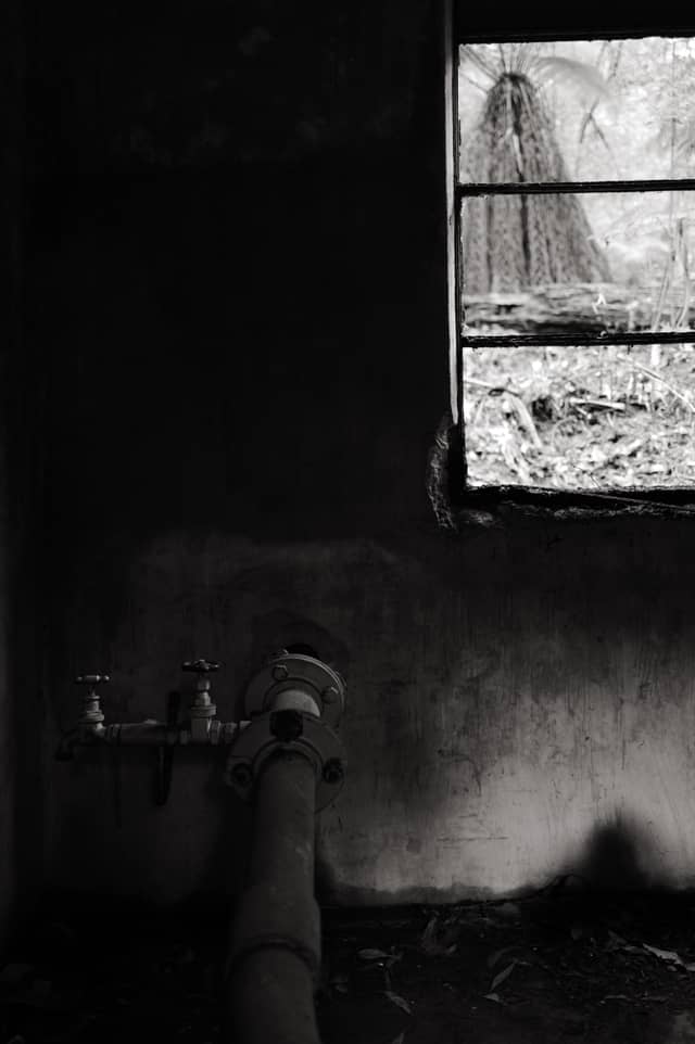 Sherbrooke Forest Abandoned Lodge - Image 1