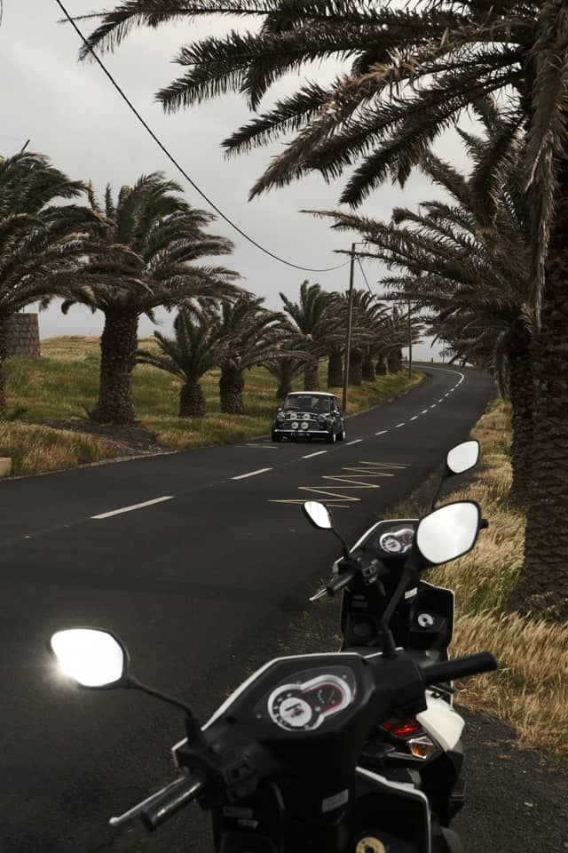 Palm-Lined Road in Porto Santo - Image 1