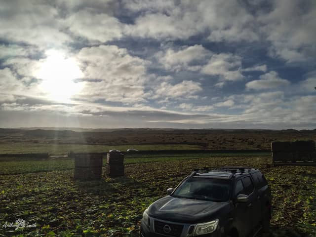 Aberffraw Fields, Isle of Anglesey - Image 1