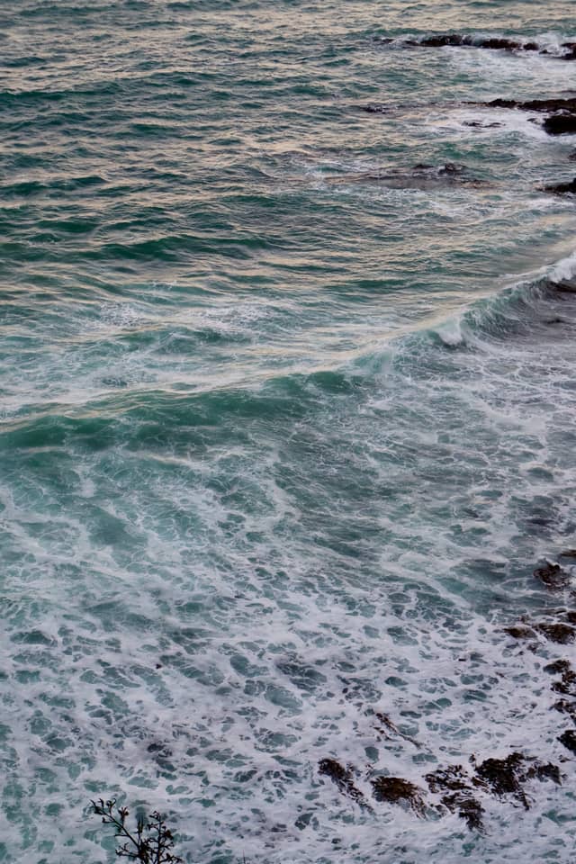 Nugget Point - Image 1