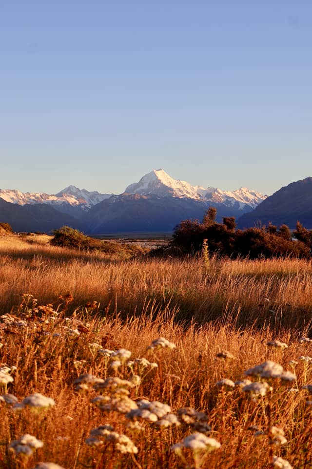 Aoraki / Mount Cook Viewpoint - Image 1