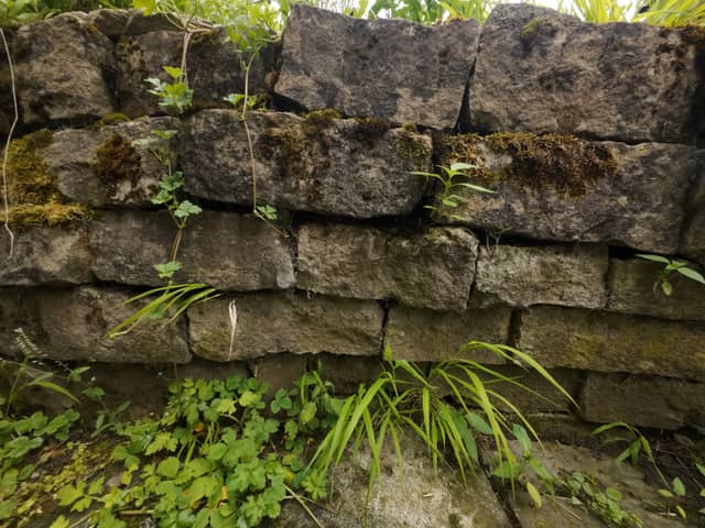 Toggenburg Mossy Stone Wall - Image 1
