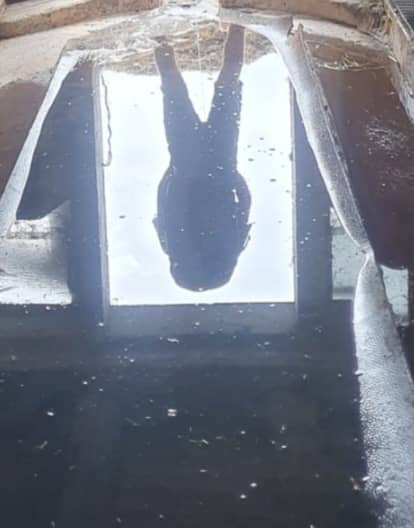 Ebnat-Kappel Rural Reflection - Image 1