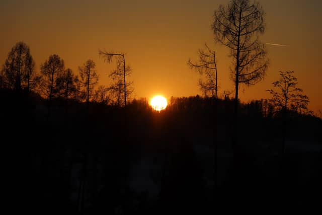 Hážovice Forest Sunset - Image 1