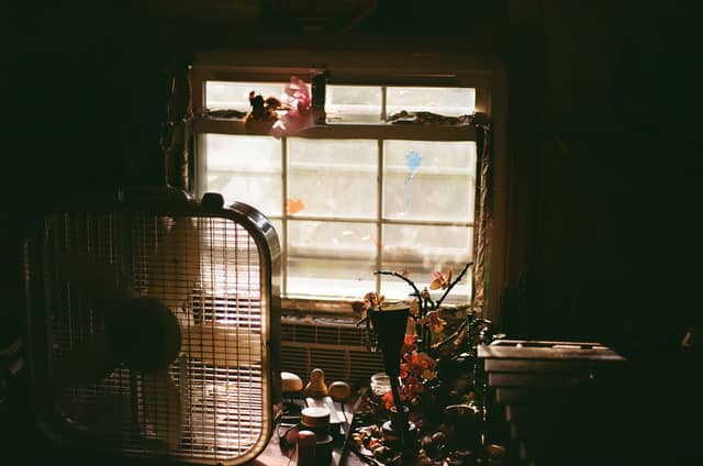 Sunlit Window Still Life - Image 1