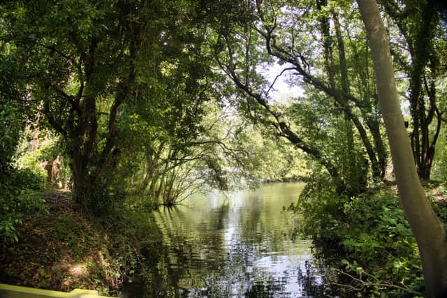 Ealand Waterside Woodland - Image 1