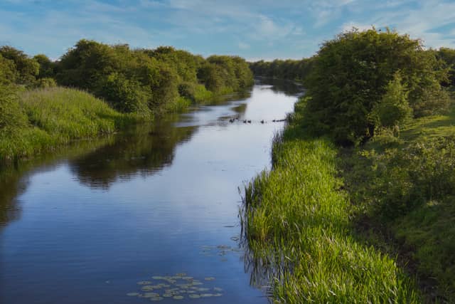 River Idle near West Stockwith - Image 1