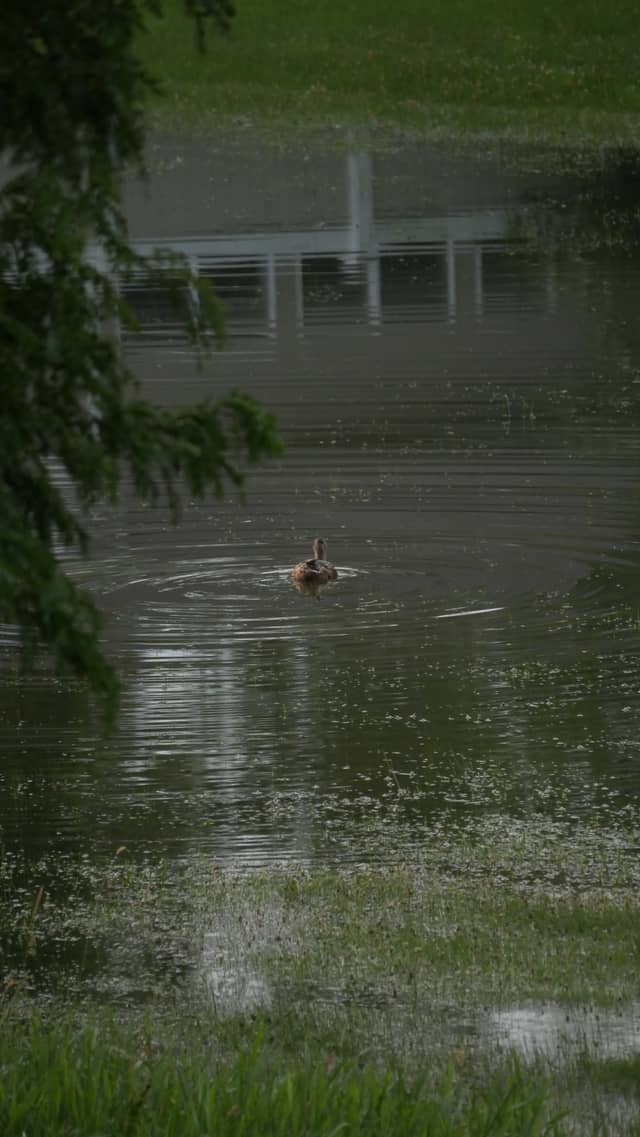 Suburban Retention Pond - Image 1