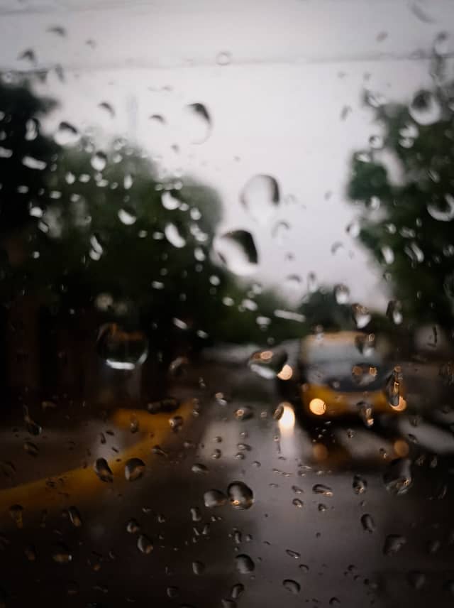 Rainy Mendoza Streetscape - Image 1