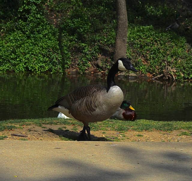Friendship Park - Image 1