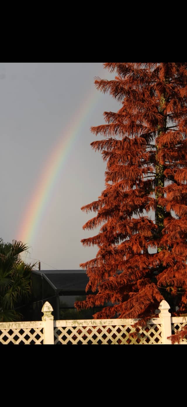 Poinciana Residential Rainbow View - Image 1