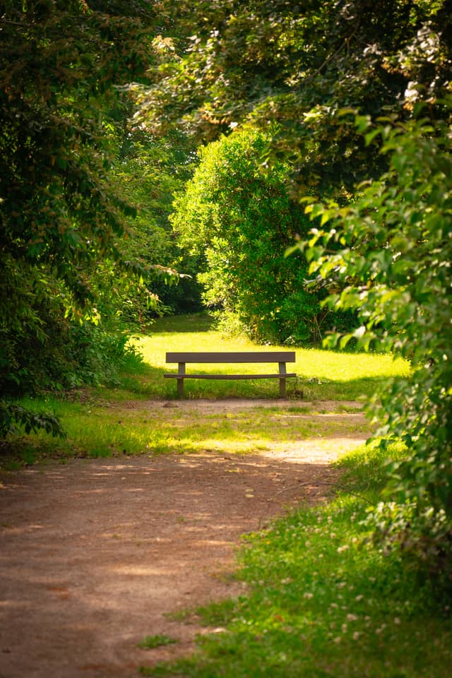 Parc de Nature et de Loisirs de Loos - Image 1
