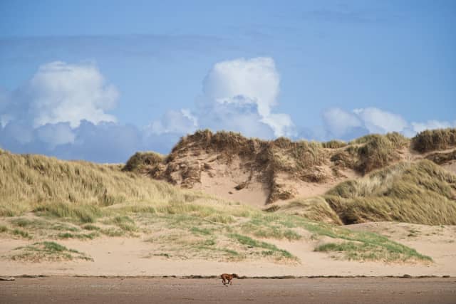 Formby Beach Sand Dunes - Image 1