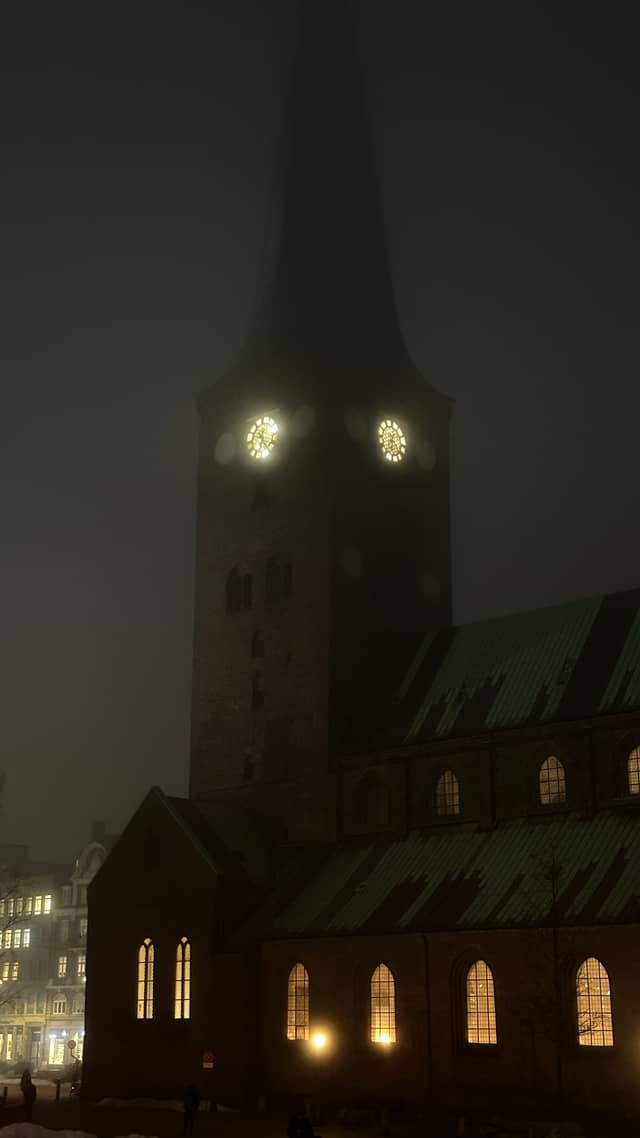 Aarhus Cathedral - Image 1