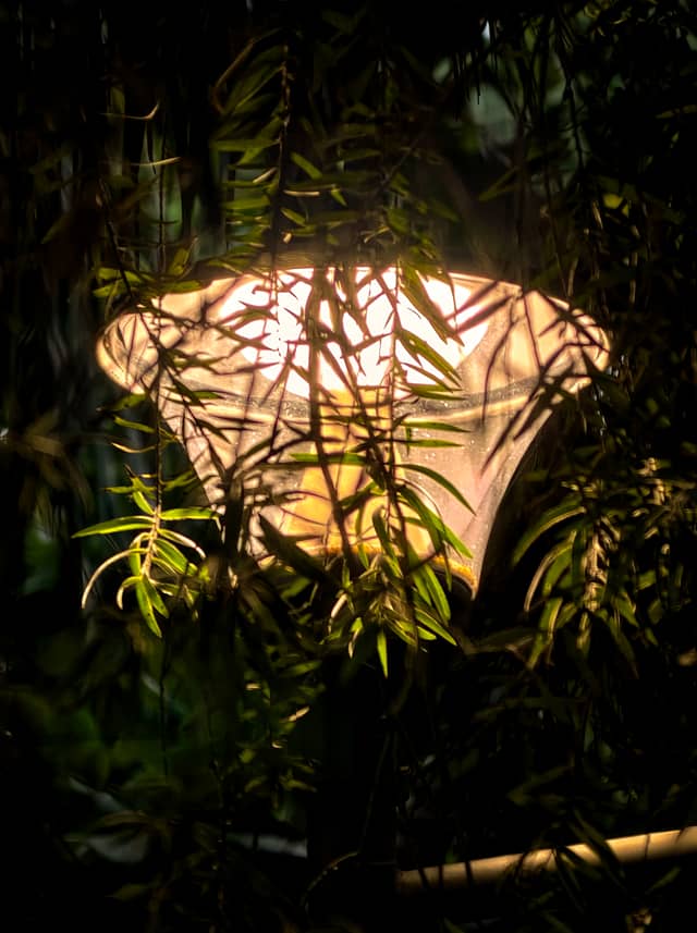 SBI Colony Garden Lights - Image 1
