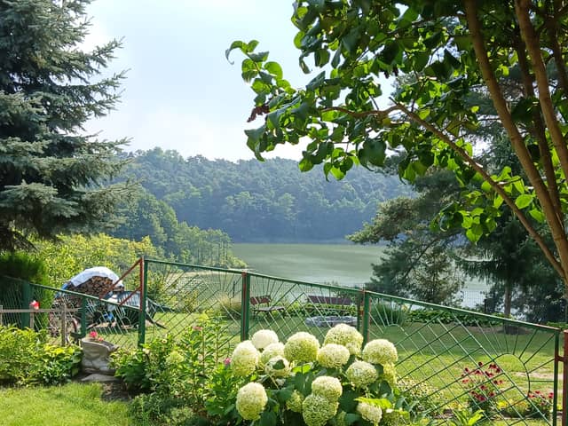 Lake Mstowskie Overlook - Image 1