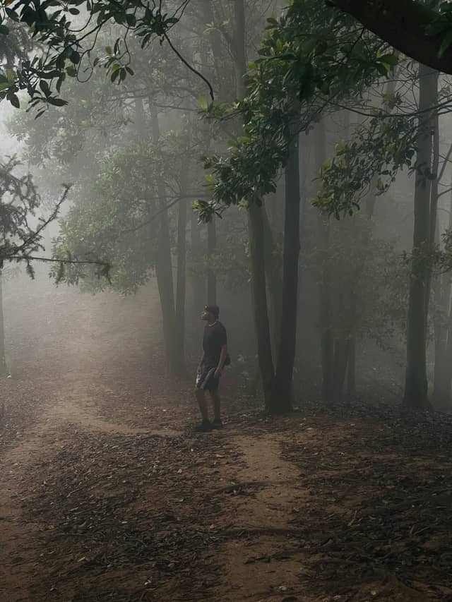 Foggy Forest Trail, Nanning - Image 1