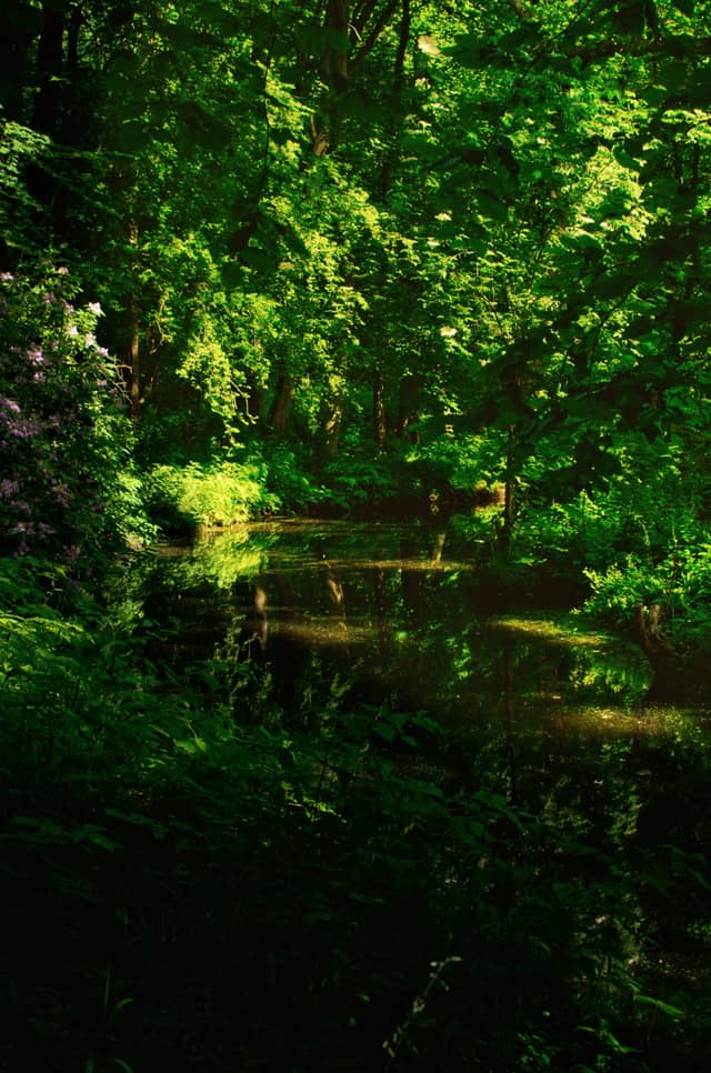 Koekamp Park Canal - Image 1