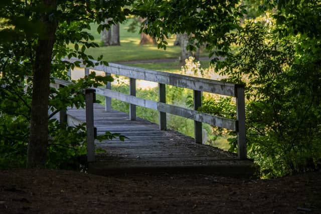 Clear Fork Reservoir - Image 1