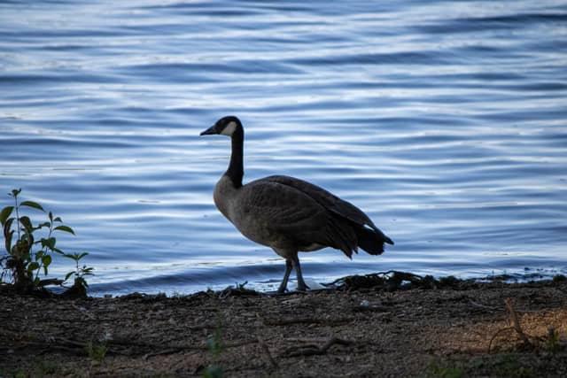 Clear Fork Reservoir - Image 3