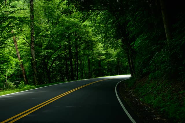 Smoky Mountain Trail Forest Drive - Image 1