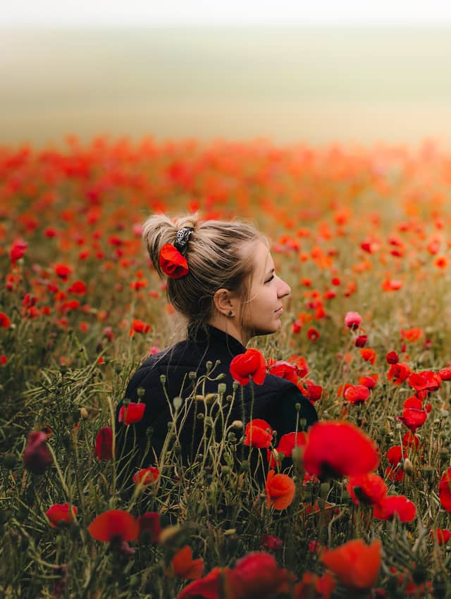 Jeżów Sudecki Poppy Fields - Image 1