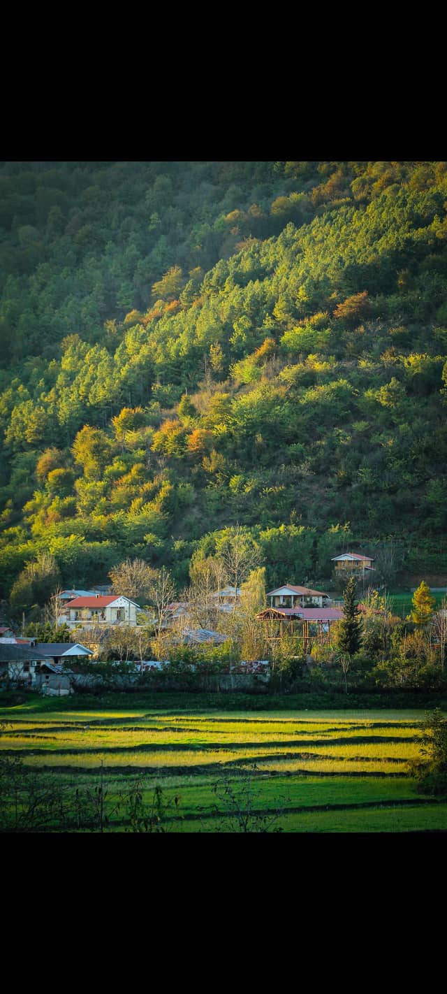 Masal Forest Village - Image 1