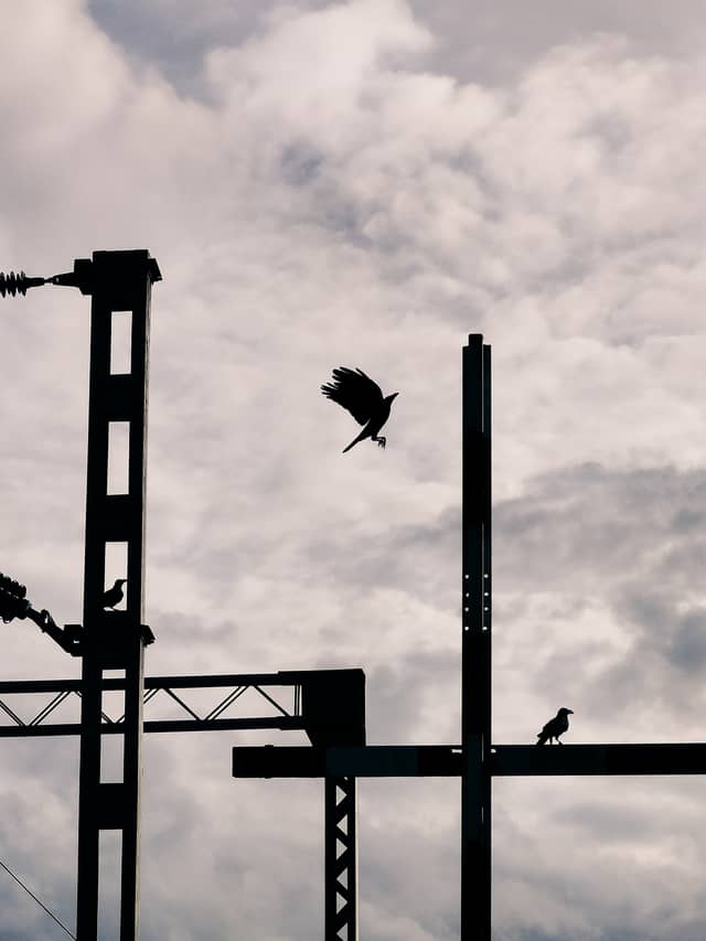 Channapatna Railway Crossing Silhouettes - Image 1