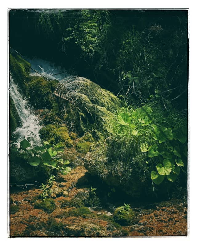 Sopotnica Mountain Stream - Image 1