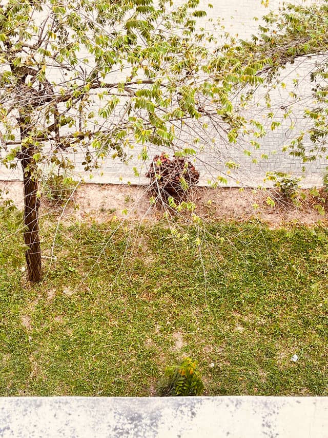 Dar es Salaam Garden View - Image 1