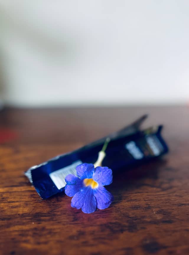 Indoor Floral Still Life - Image 1