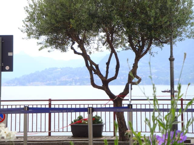 Varenna Waterfront Overlook - Image 1
